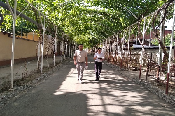 ahloliper_140622_ici277