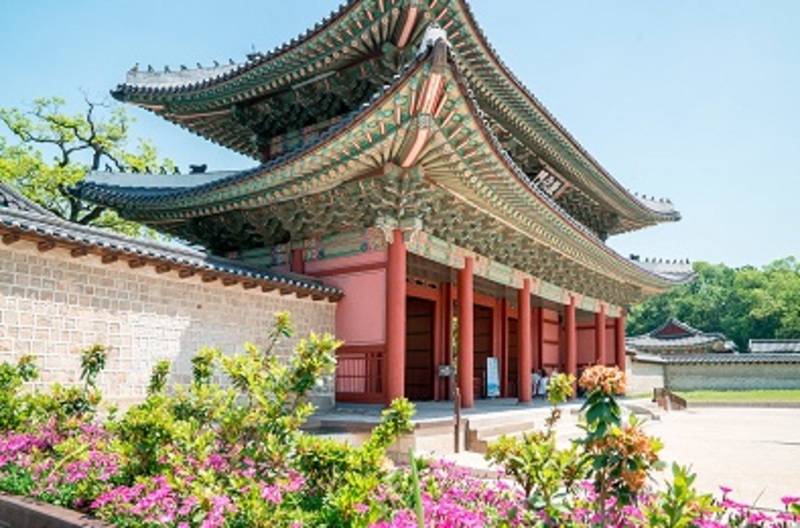 zhanubij-koreya_p43360_p24854